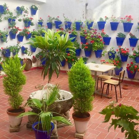 Apartamento Toril-Casco Historico Cordoba Luaran gambar