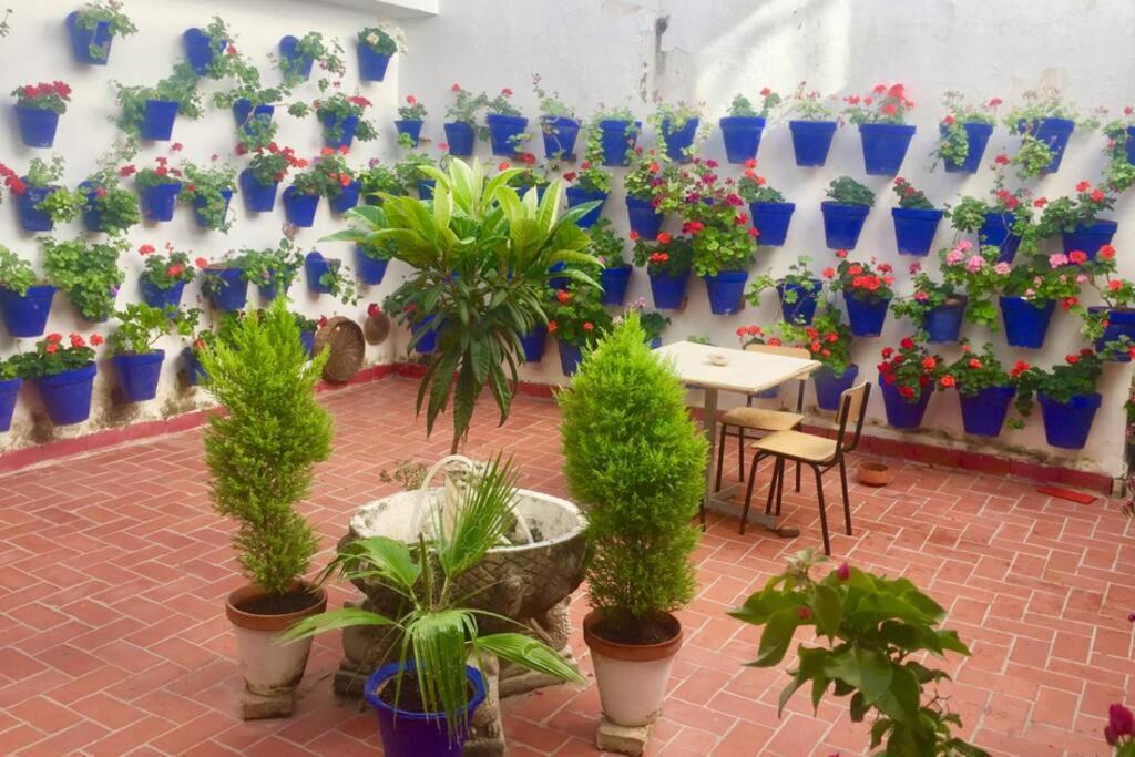 Apartamento Toril-Casco Historico Cordoba Luaran gambar